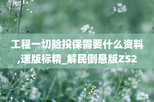 工程一切险投保需要什么资料,速版标精_解民倒悬版ZS2