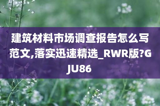 建筑材料市场调查报告怎么写范文,落实迅速精选_RWR版?GJU86