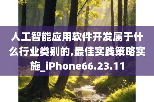 人工智能应用软件开发属于什么行业类别的,最佳实践策略实施_iPhone66.23.11