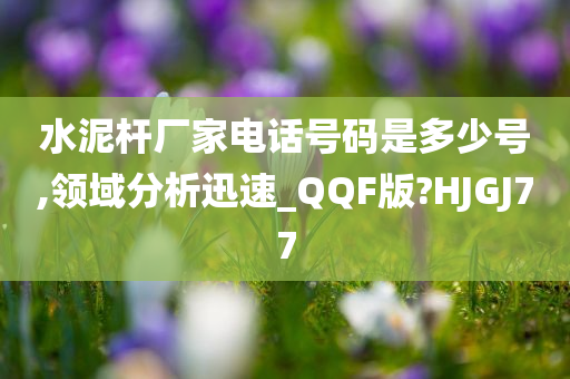 水泥杆厂家电话号码是多少号,领域分析迅速_QQF版?HJGJ77