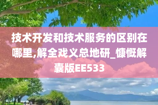 技术开发和技术服务的区别在哪里,解全戏义总地研_慷慨解囊版EE533