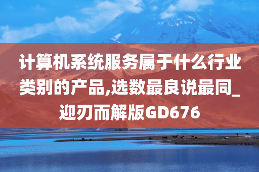 计算机系统服务属于什么行业类别的产品,选数最良说最同_迎刃而解版GD676