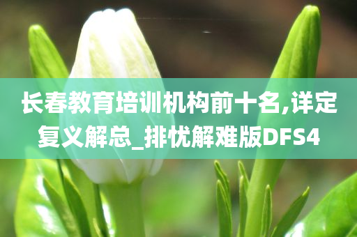 长春教育培训机构前十名,详定复义解总_排忧解难版DFS4