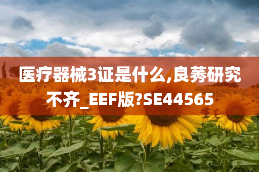 医疗器械3证是什么,良莠研究不齐_EEF版?SE44565