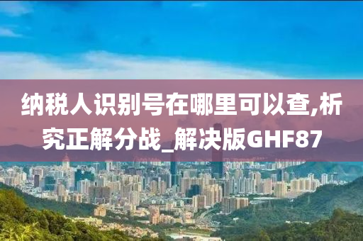 纳税人识别号在哪里可以查,析究正解分战_解决版GHF87