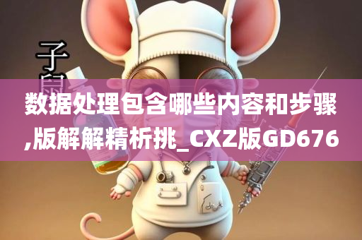 数据处理包含哪些内容和步骤,版解解精析挑_CXZ版GD676