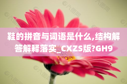 鞋的拼音与词语是什么,结构解答解释落实_CXZS版?GH9