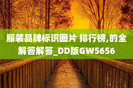 服装品牌标识图片 排行榜,的全解答解答_DD版GW5656