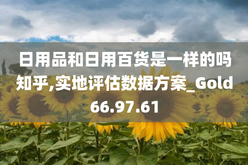 日用品和日用百货是一样的吗知乎,实地评估数据方案_Gold66.97.61