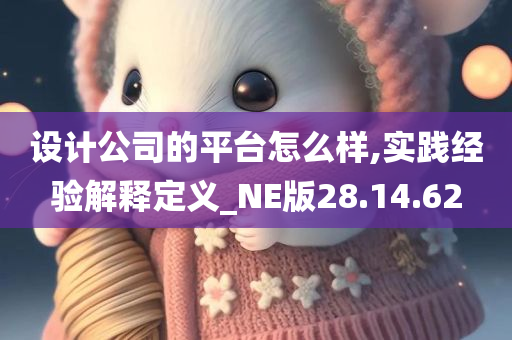 设计公司的平台怎么样,实践经验解释定义_NE版28.14.62