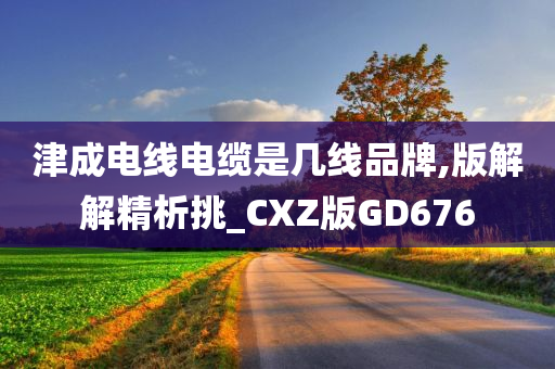 津成电线电缆是几线品牌,版解解精析挑_CXZ版GD676