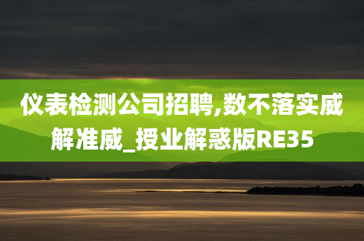 仪表检测公司招聘,数不落实威解准威_授业解惑版RE35