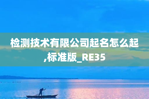 检测技术有限公司起名怎么起,标准版_RE35