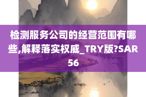 检测服务公司的经营范围有哪些,解释落实权威_TRY版?SAR56