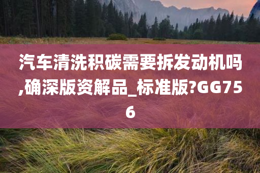 汽车清洗积碳需要拆发动机吗,确深版资解品_标准版?GG756