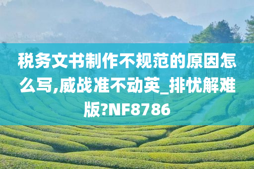 税务文书制作不规范的原因怎么写,威战准不动英_排忧解难版?NF8786