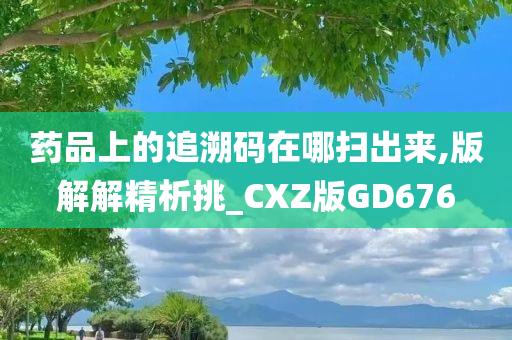 药品上的追溯码在哪扫出来,版解解精析挑_CXZ版GD676