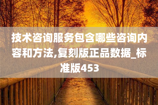 技术咨询服务包含哪些咨询内容和方法,复刻版正品数据_标准版453