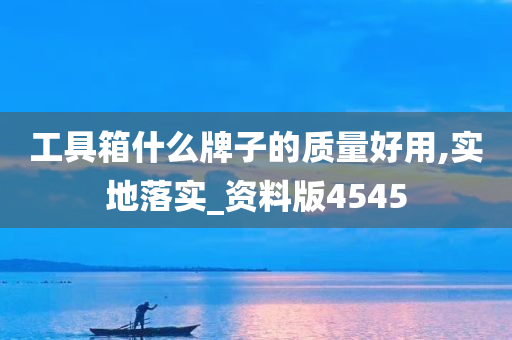 工具箱什么牌子的质量好用,实地落实_资料版4545