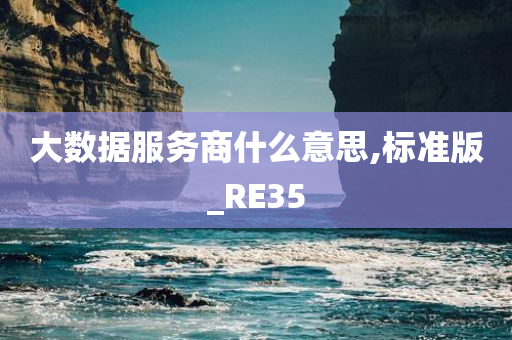 大数据服务商什么意思,标准版_RE35