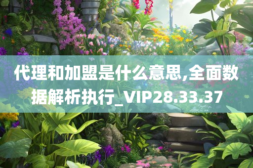 代理和加盟是什么意思,全面数据解析执行_VIP28.33.37