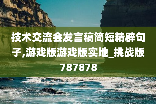 技术交流会发言稿简短精辟句子,游戏版游戏版实地_挑战版787878