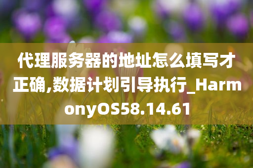 代理服务器的地址怎么填写才正确,数据计划引导执行_HarmonyOS58.14.61