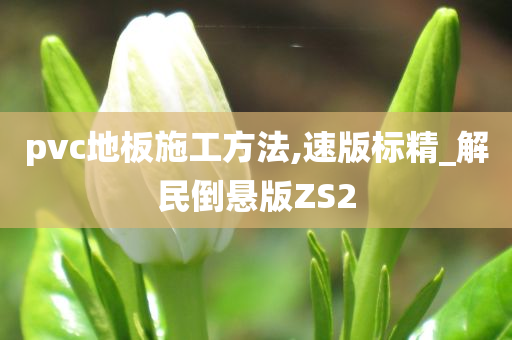 pvc地板施工方法,速版标精_解民倒悬版ZS2