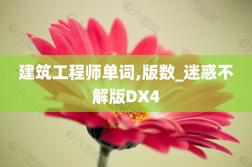 建筑工程师单词,版数_迷惑不解版DX4