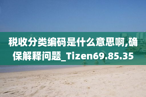 税收分类编码是什么意思啊,确保解释问题_Tizen69.85.35