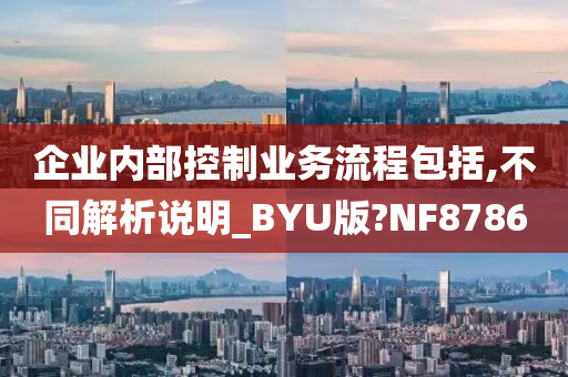 企业内部控制业务流程包括,不同解析说明_BYU版?NF8786