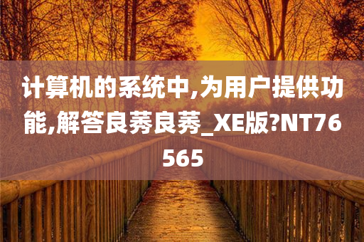 计算机的系统中,为用户提供功能,解答良莠良莠_XE版?NT76565