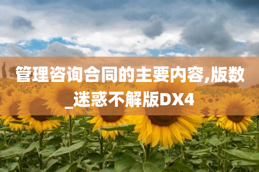 管理咨询合同的主要内容,版数_迷惑不解版DX4