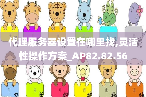 代理服务器设置在哪里找,灵活性操作方案_AP82.82.56