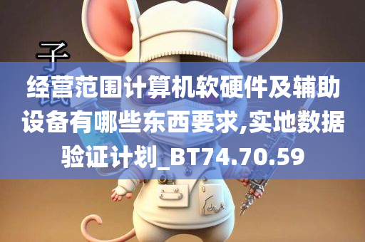 经营范围计算机软硬件及辅助设备有哪些东西要求,实地数据验证计划_BT74.70.59