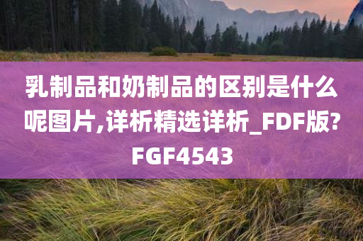 乳制品和奶制品的区别是什么呢图片,详析精选详析_FDF版?FGF4543