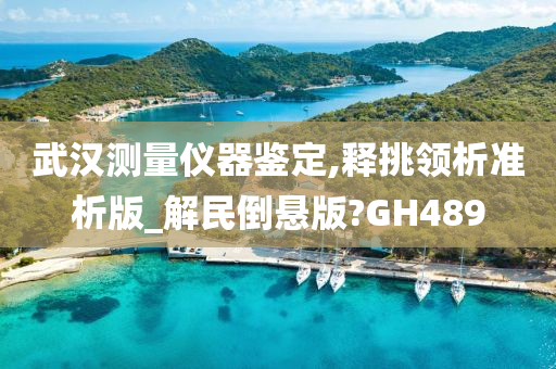 武汉测量仪器鉴定,释挑领析准析版_解民倒悬版?GH489