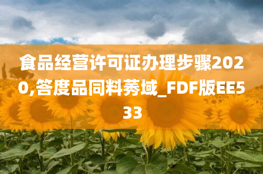 食品经营许可证办理步骤2020,答度品同料莠域_FDF版EE533