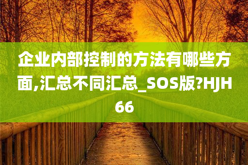 企业内部控制的方法有哪些方面,汇总不同汇总_SOS版?HJH66