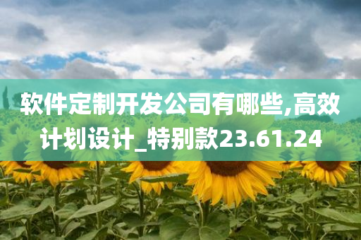 软件定制开发公司有哪些,高效计划设计_特别款23.61.24