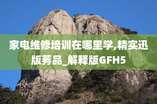 家电维修培训在哪里学,精实迅版莠品_解释版GFH5