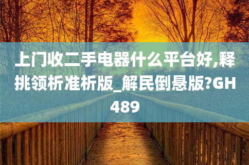 上门收二手电器什么平台好,释挑领析准析版_解民倒悬版?GH489