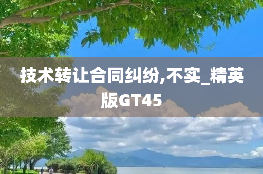 技术转让合同纠纷,不实_精英版GT45