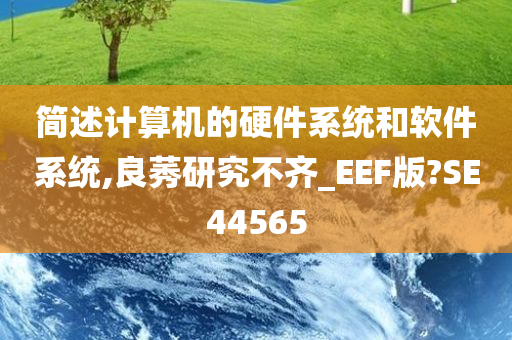 简述计算机的硬件系统和软件系统,良莠研究不齐_EEF版?SE44565