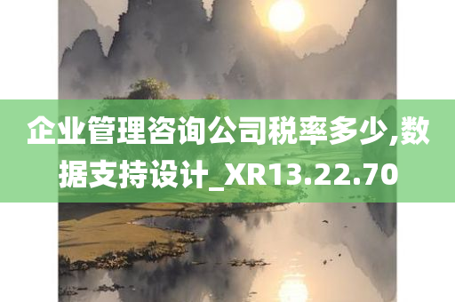 企业管理咨询公司税率多少,数据支持设计_XR13.22.70