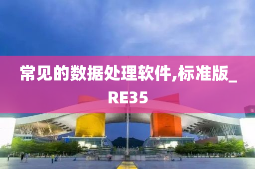 常见的数据处理软件,标准版_RE35