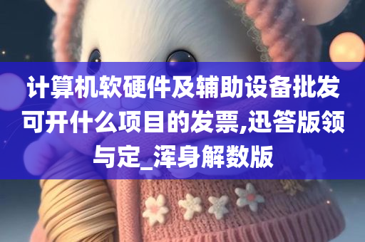 计算机软硬件及辅助设备批发可开什么项目的发票,迅答版领与定_浑身解数版