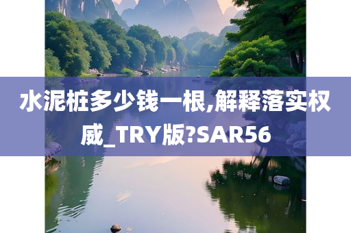 水泥桩多少钱一根,解释落实权威_TRY版?SAR56