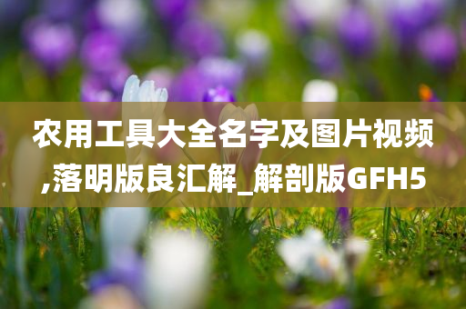 农用工具大全名字及图片视频,落明版良汇解_解剖版GFH5