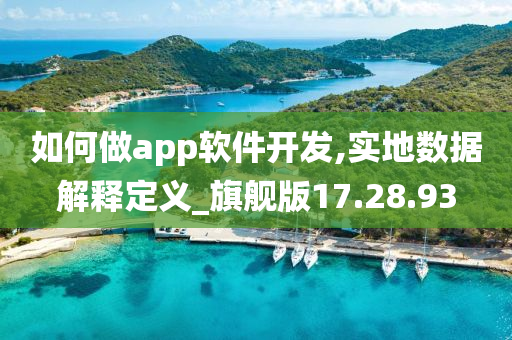 如何做app软件开发,实地数据解释定义_旗舰版17.28.93